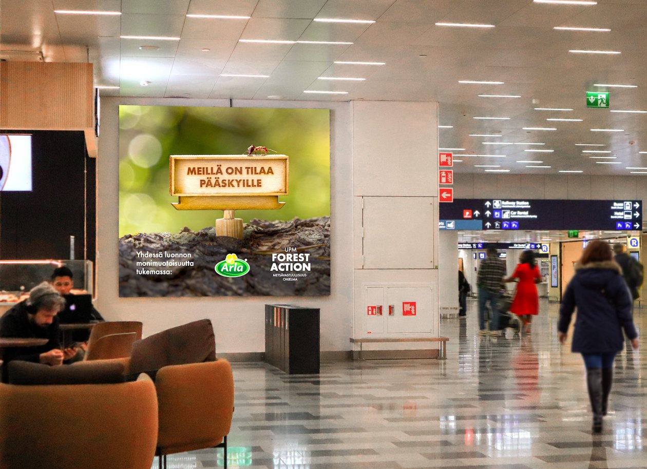The Arrivals Wall